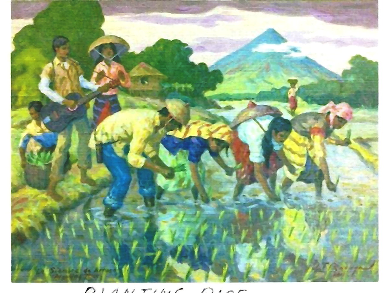 Planting Rice