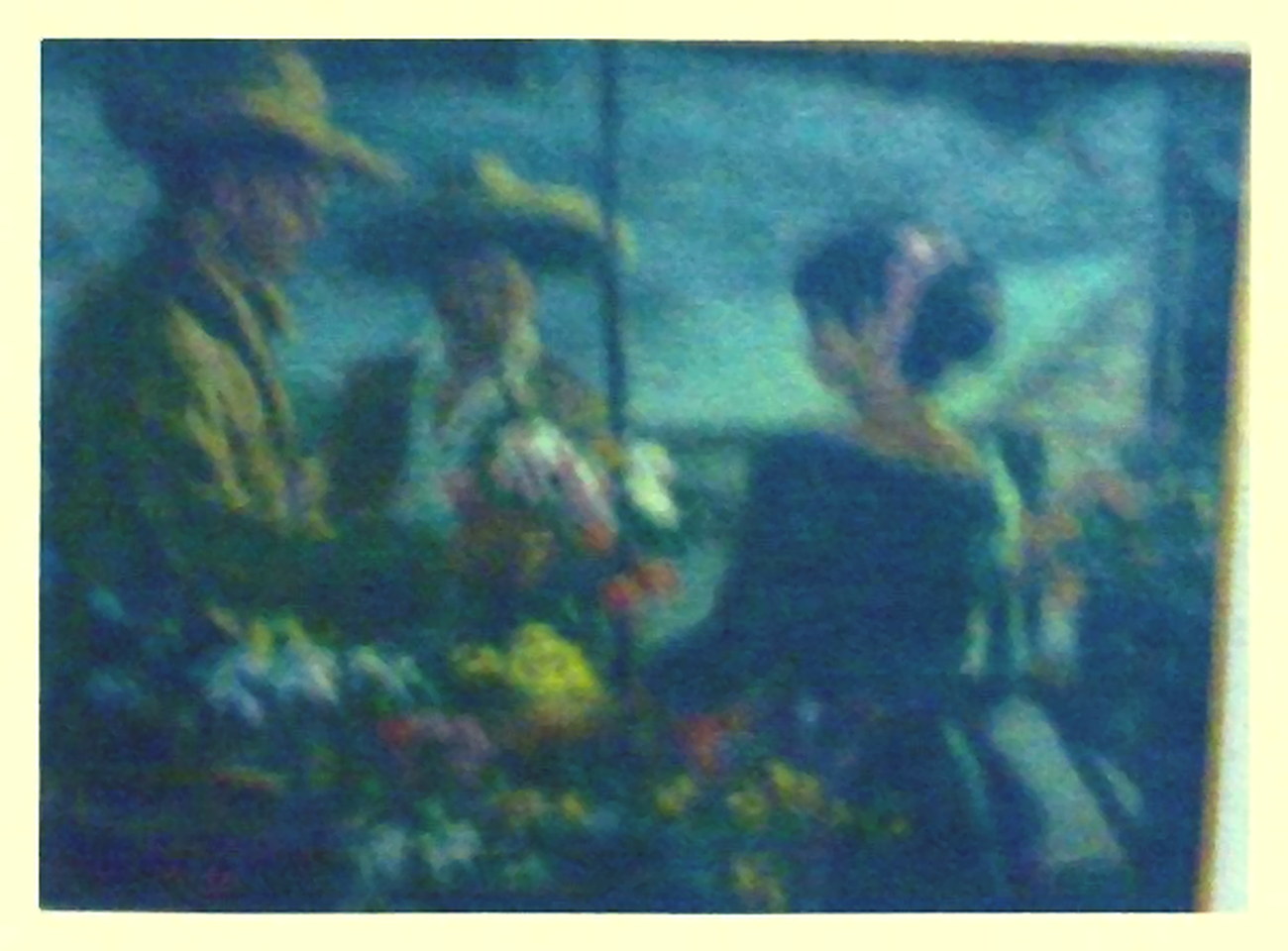 Woo with Flowers