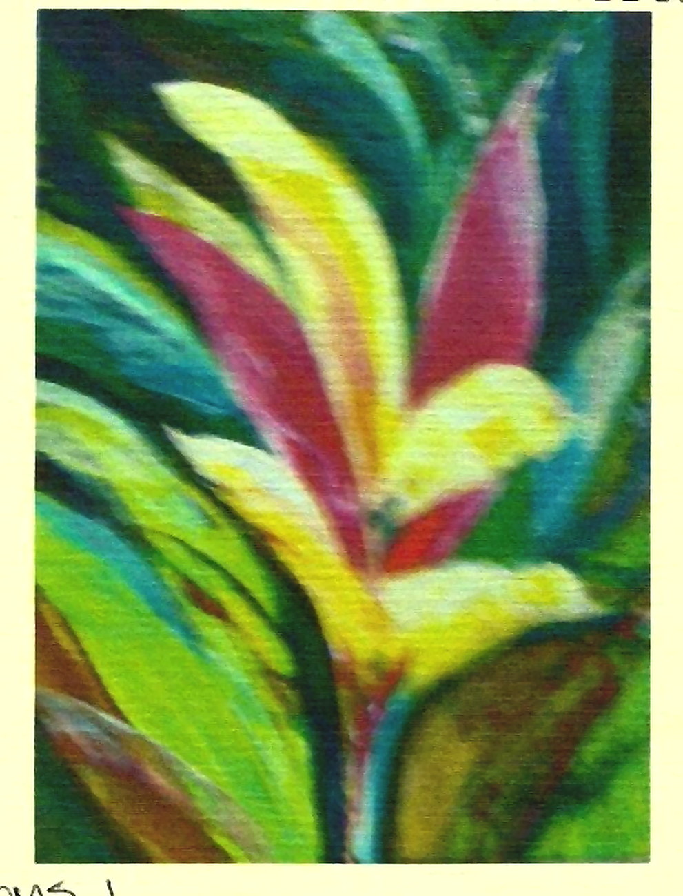 Blooms 1