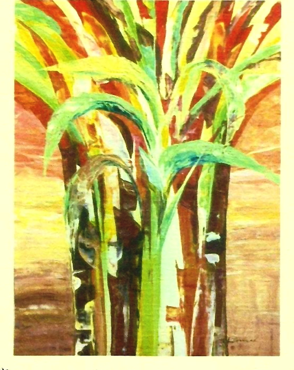 Fortune Tree