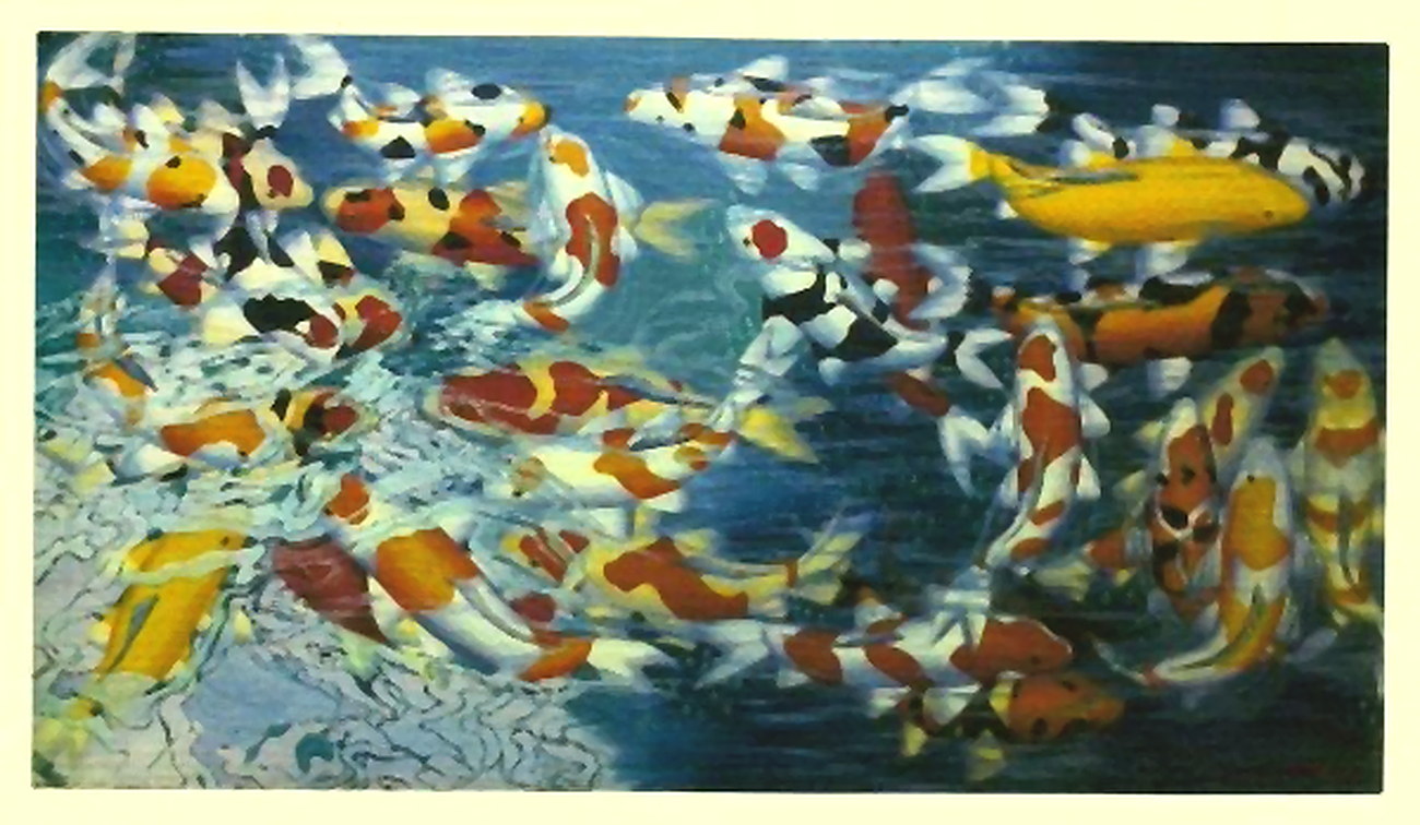 Prosperity Koi