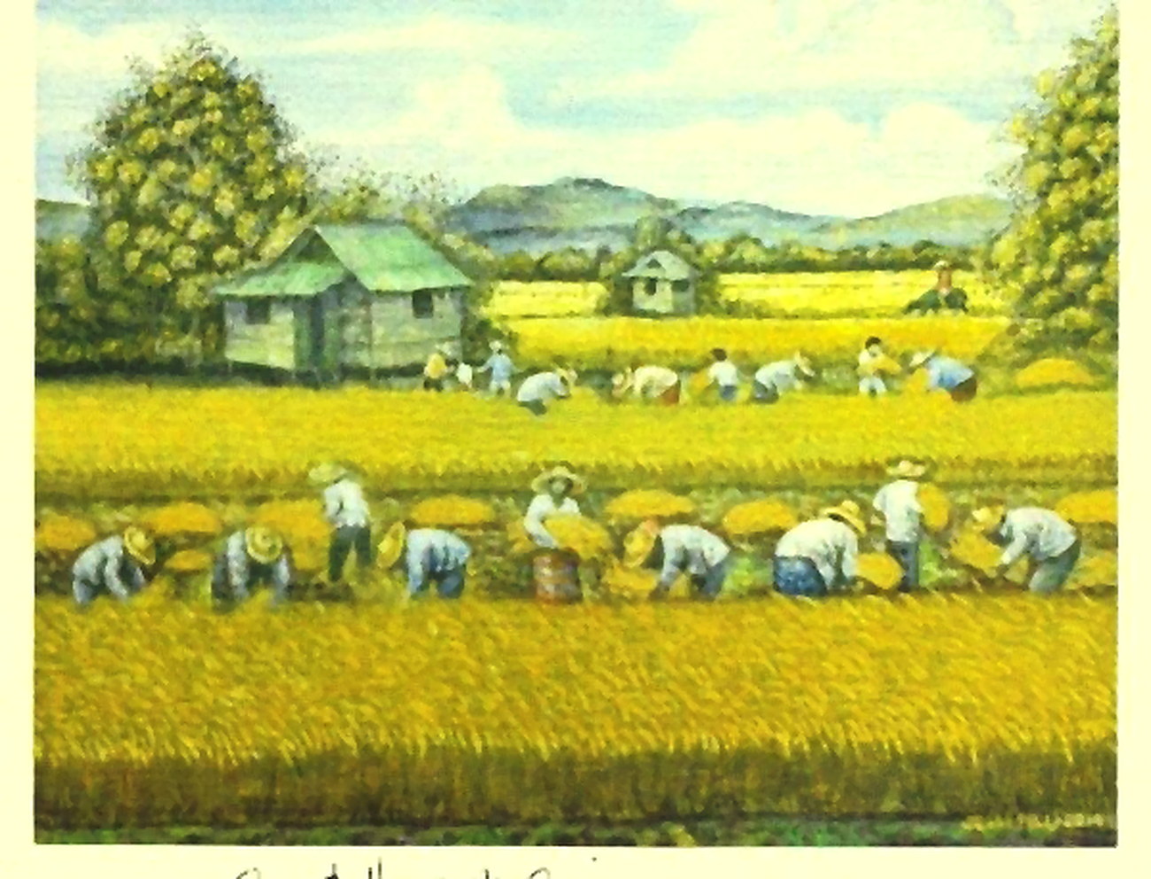 Great Harvest Series